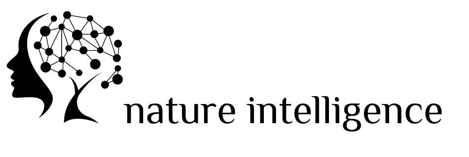 nature-intelligence-logo-schwarz
